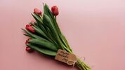 De mooiste bloemen om jouw moeder te geven op moederdag