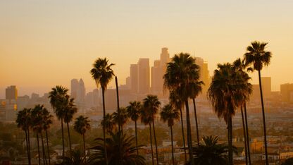 Pas jij beter in LA of New York? Zo kom je erachter