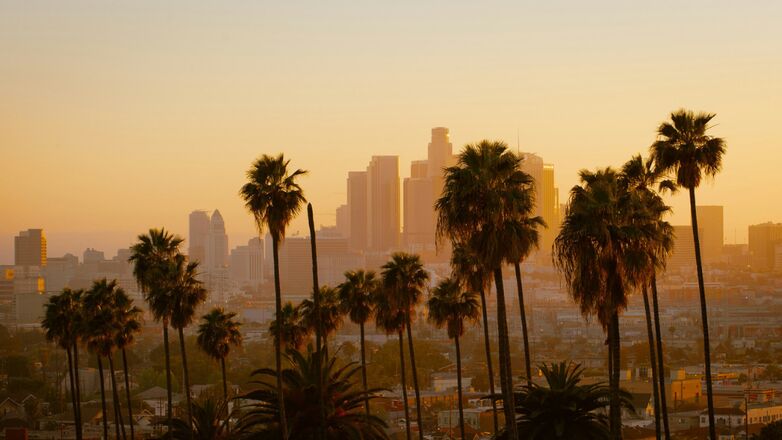 Pas jij beter in LA of New York? Zo kom je erachter