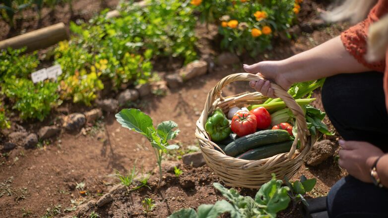 Wanneer is biologisch eten écht de moeite waard? Dit zijn de producten waarbij het uitmaakt