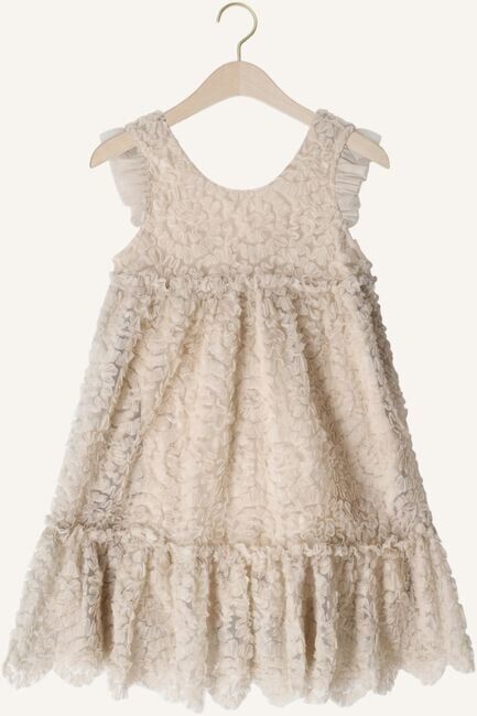 Grijze LIL' ATELIER Mini jurk NMFFAUNA CAPSL TULLE DRESS LIL - large