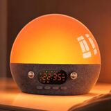 
  
Inga Smart Wake up Light 