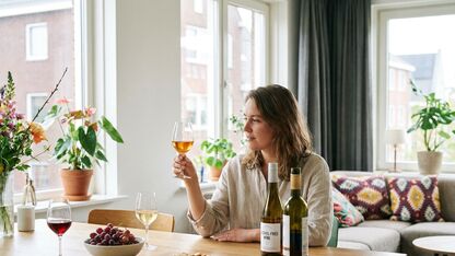 Hoe smaakt alcoholvrije wijn vergeleken met gewone wijn?