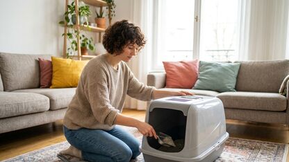 Hoe vaak maak je een kattenbak schoon?