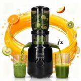 Silvergear Slowjuicer XL
