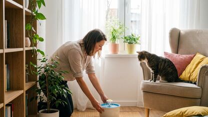 Zo zet je een drinkfontein op een fijne plek voor je kat