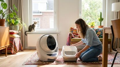 Het verschil tussen een robot kattenbak en een gewone kattenbak