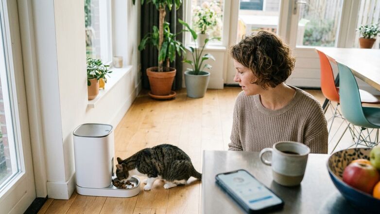 Het verschil tussen een automatische voerbak en een slimme voerbak met app