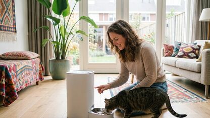Wanneer is een automatische voerbak handig voor je kat?