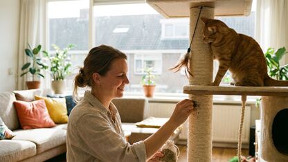 Zo maak je een krabpaal aantrekkelijker voor je kat