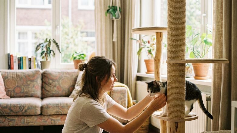 Hoe voorkom je dat je kat aan de bank krabt?
