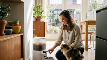 Zo voorkom je dat je kat te snel of te veel eet
