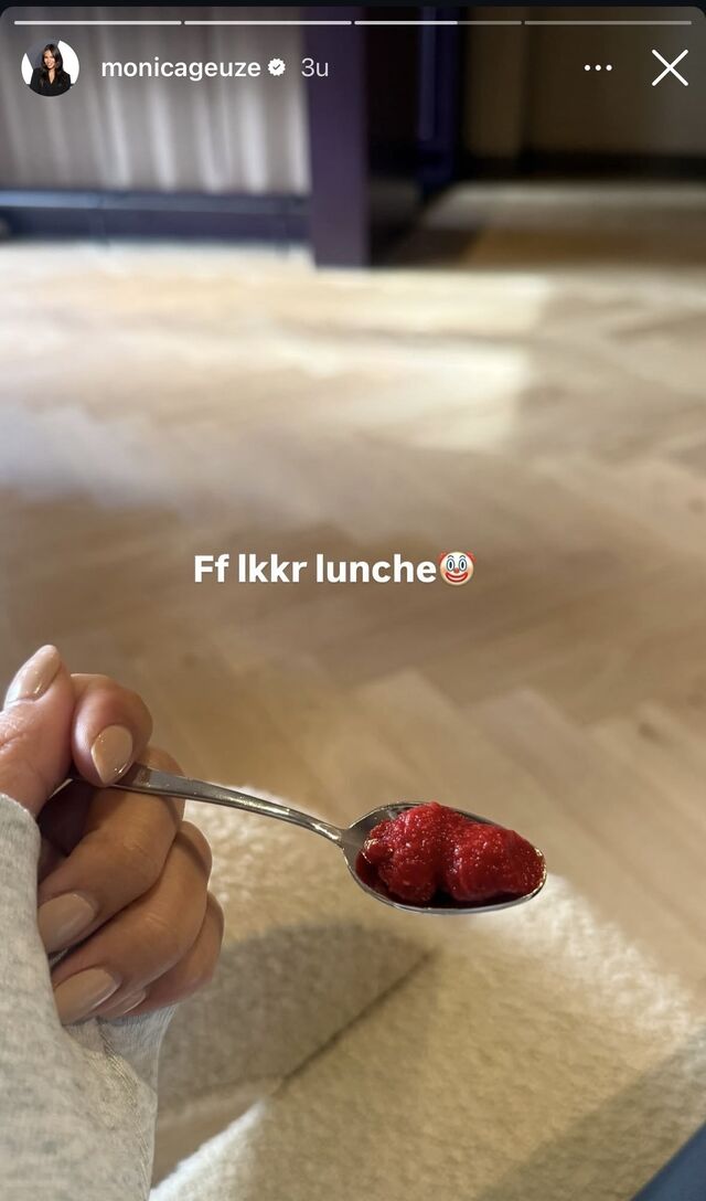 Monica Geuze Tomatenpuree